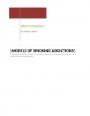 Models of Smoking Addictions