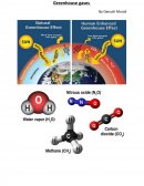 Greenhouse Gases