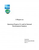 Ibe: Analysis of American Express
