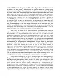 troy film analysis essays