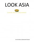 Look Asia Holidays Case Study