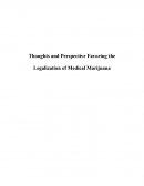 Thoughts and Perspective Favoring the Legalization of Medical Marijuana