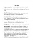 Pitfall Clothing Brand Business Plan