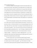 Chinese Cinderella Themes Essay