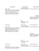 Centra Software Analysis