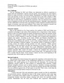 Procter & Gamble’s Acquisition of Gillette Case Analysis