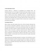 The Coca-Cola Company Consumer Behaviour