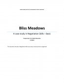 Bliss Homes Ltd. Business Plan