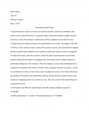 Individual Research Paper
