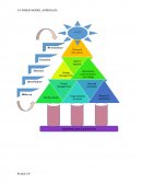 Wiser Model