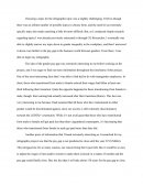 Infographic Essay