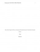Drone Strike Program & Effects on International Homeland Security & United States Homeland Security