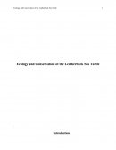 Ecology and Conservation of the Leatherback Sea Turtle