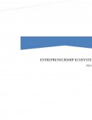 Entrepreneurial Ecosystem