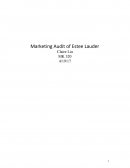 Marketing Audit for Estee Lauder