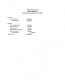 Weber Pest Removal - Income Statement