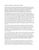 Internet Marketing Simulation Exercise