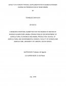 Effect of Hydroxytyrosol Supplementation in Semen Extender During on Preservation of Boar Semen