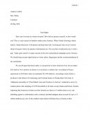 Gun Rights Essay