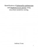 Identification of Salmonella Typhimurium and Staphylococcus Aureus Using Microbial Metabolic Testing