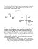 Corporate Finance - Investing in Large Projects