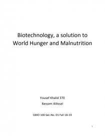 malnutrition essay