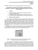 Determination of the Surface Tension of Liquid Mixtures.