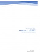 Audit Green It