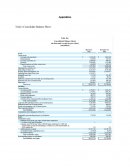 Tesla’s Consolidate Balance Sheet