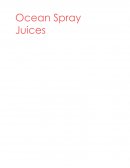 Business Report on Ocean Sprays Juice Brand